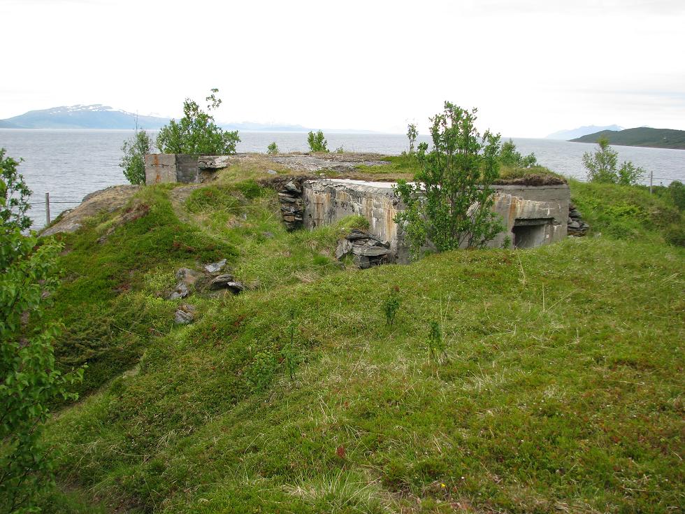 257.jpg
