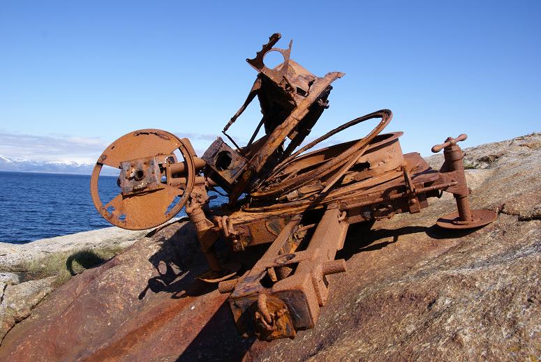 Rust.jpg