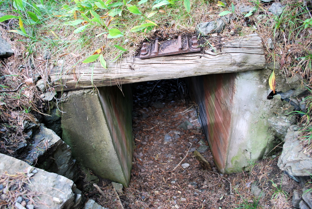 DSC_0046.JPG