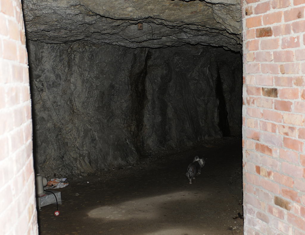 Ikke mer og se i dette fjellanlegget, og vi ser lys i enden av tunnellen. Da slipper vi å gå hele veien tilbake for å komme ut. Bikkja var glad for å være ute, og jeg må vel innrømme at det var litt creepy å vase rundt i stupmørket der, helt alene