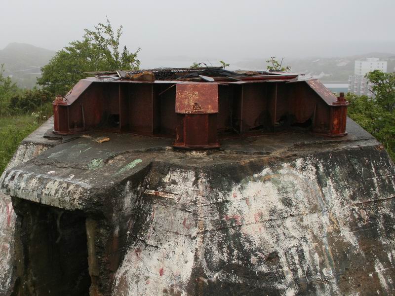 Kastanie01.jpg