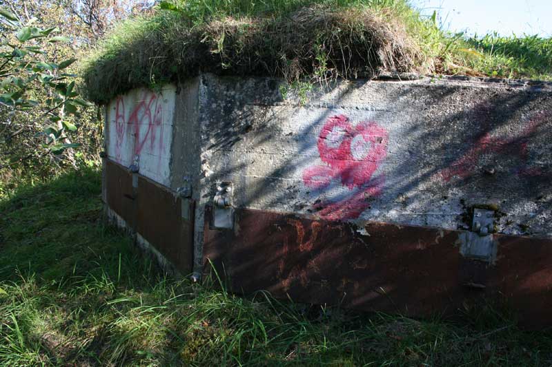 2008_sandnessjoen.jpg