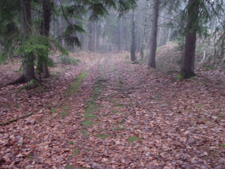 Verpenåsen, Sætre, 059.jpg