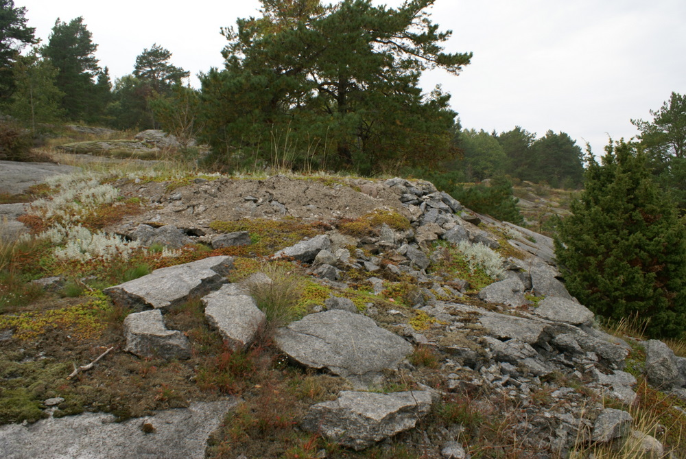 DSC01354.JPG