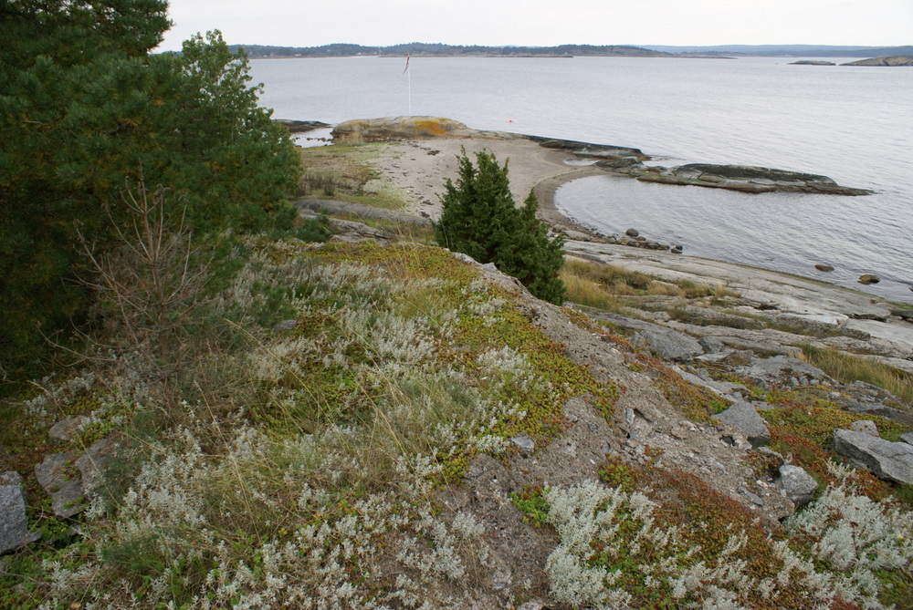 DSC01353.JPG