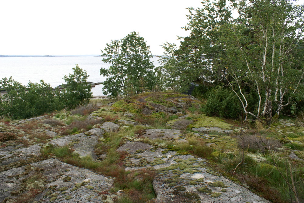 DSC01346.JPG