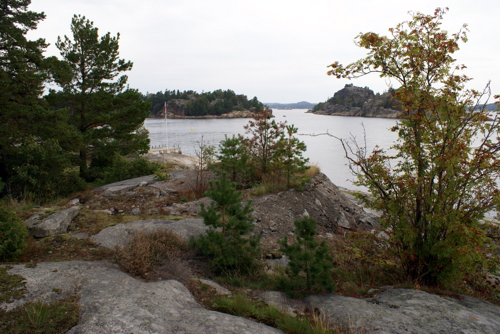 DSC01341.JPG