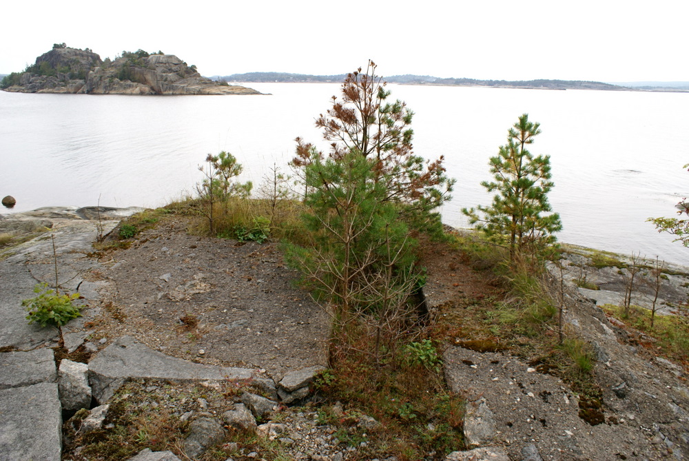 DSC01340.JPG