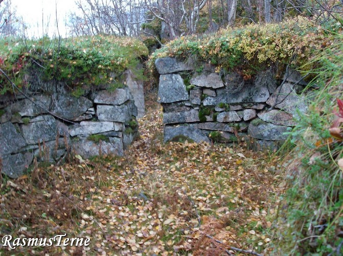 Bjarkøy 1.jpg