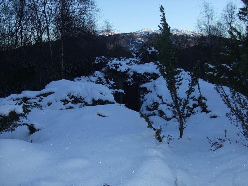 Godt kamuflert inngang i snøen!