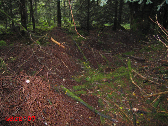 De skal noen ruller piggtråd til å sette opp sperring 250m rundt i en bredde på 4m.