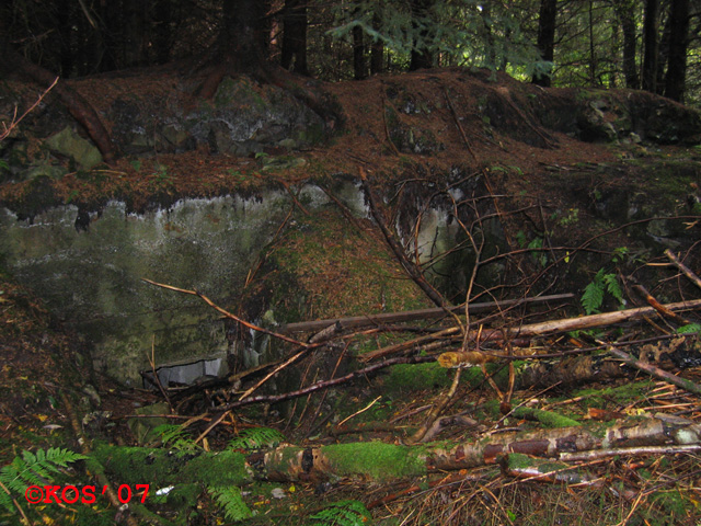 Midt inne i skogen omtrent 350m fra veien mot Haugesund, som beskrevet, fant vi denne.<br />32 V 290818 6592061