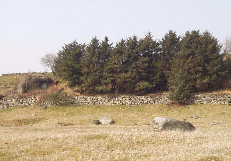 Antitank-Tjelta.jpg