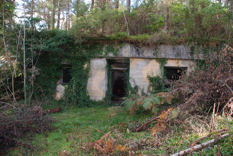bunker-1.jpg