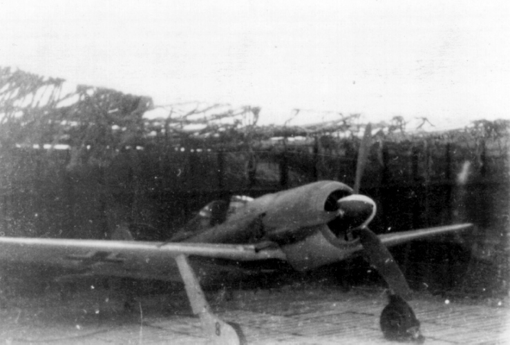 gossen2 - Fw190.jpg