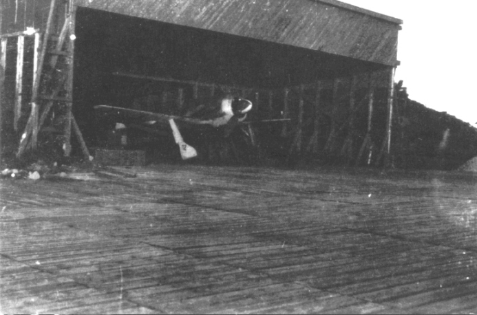 gossen3 - Fw 190.jpg