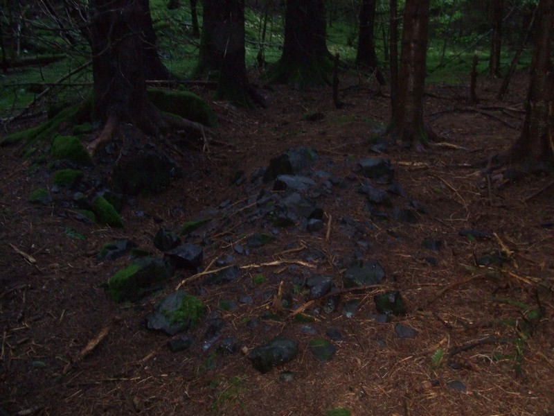 Overgrodd steinrøys...dette er ute i skogen, ved de mange gruveopningene (inngjerdet). Kan dette ha vært rester av tysk nærforsvar?