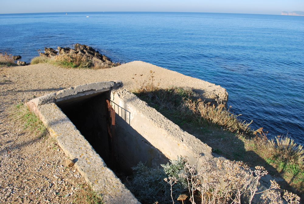 DSC_0150.JPG