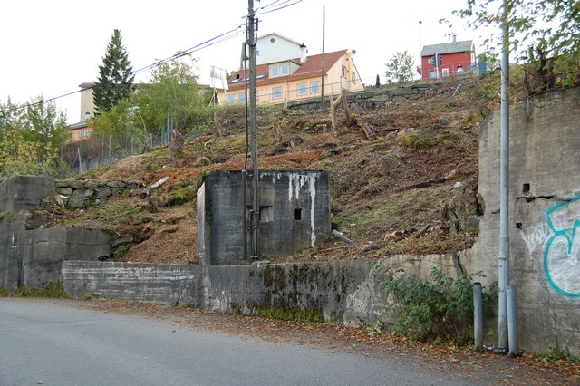 DSC_0380.jpg