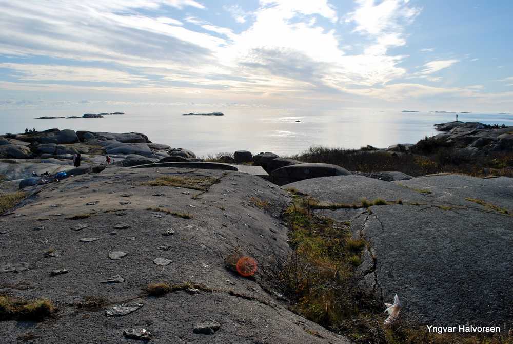 DSC_0095.jpg