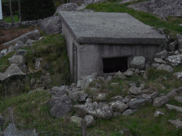 CIMG0346.JPG