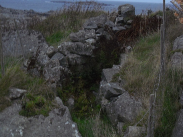CIMG0347.JPG