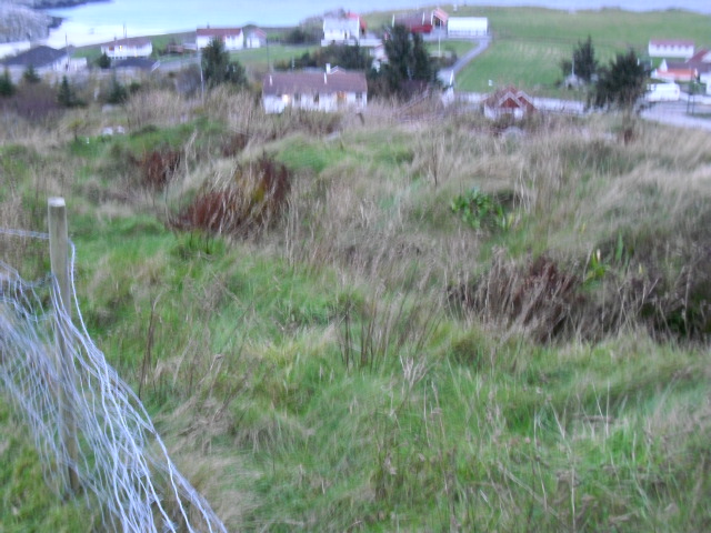 CIMG0353.JPG