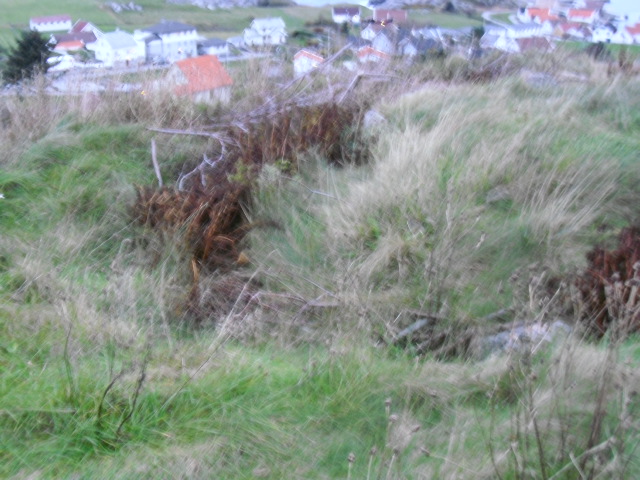 CIMG0354.JPG