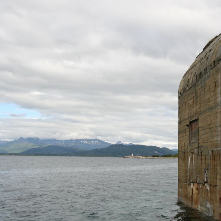 Image7_2.jpg