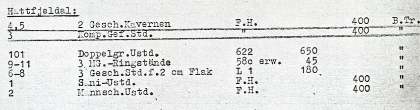 Hattfjelldal.JPG