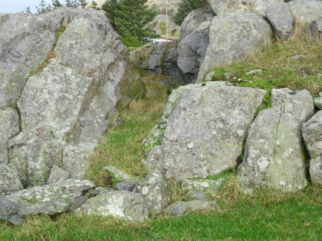 CIMG0368.JPG
