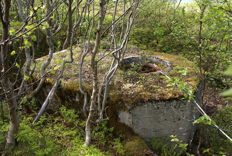 Den fineste bunkeren