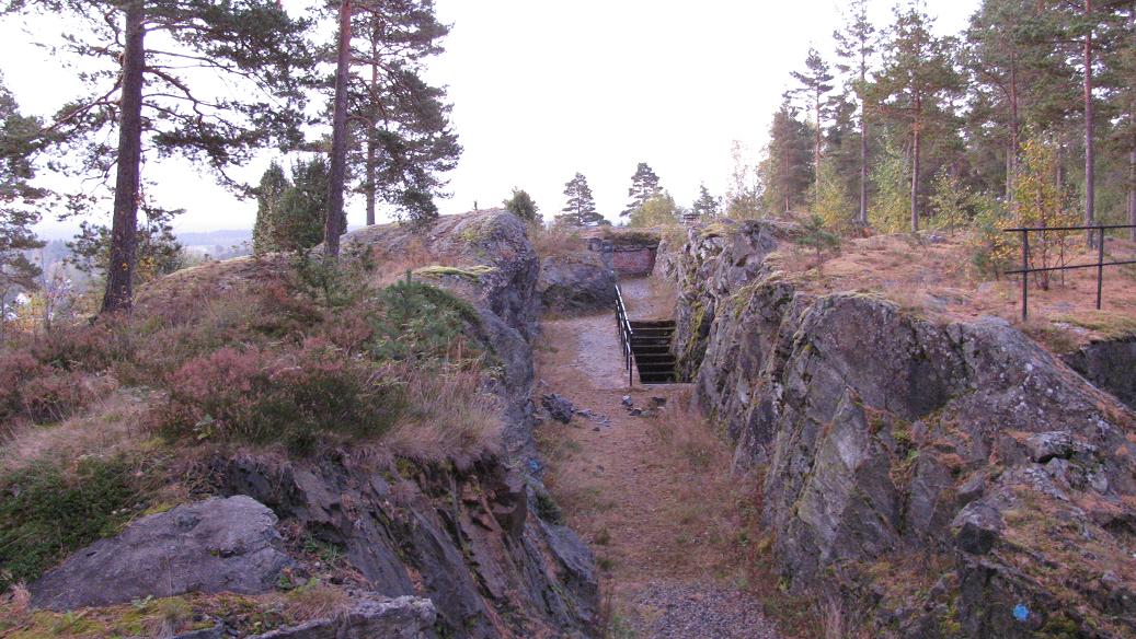 Ørjekollen (21).JPG