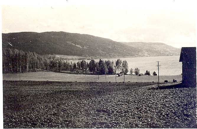N-0006.jpg