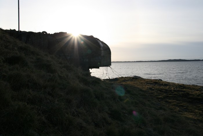 IMG_6909.jpg