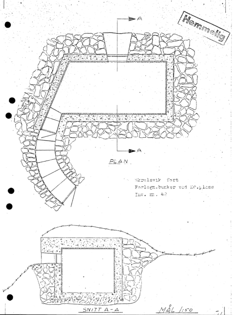 Nr-42.jpg