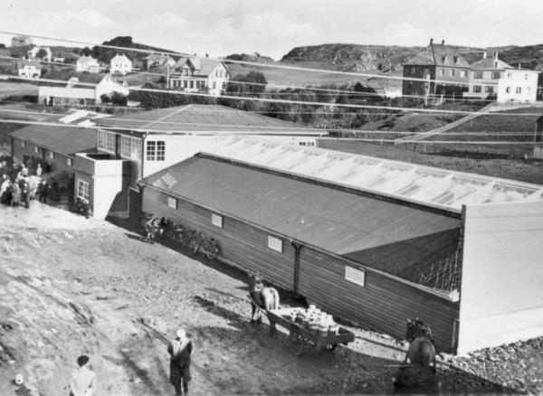 © Foto: Haugalandmuseene - 2010 <br />Motiv<br />Byeksteriør - Dyr. <br />Historikk<br />Fotografering: 1940 CA <br />Produksjonssted, sikker: Haugesund, Flotmyr<br />KOS: Dette var Revehallen på Flotmyr ja...
