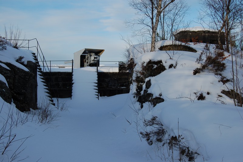 DSC_0408.jpg