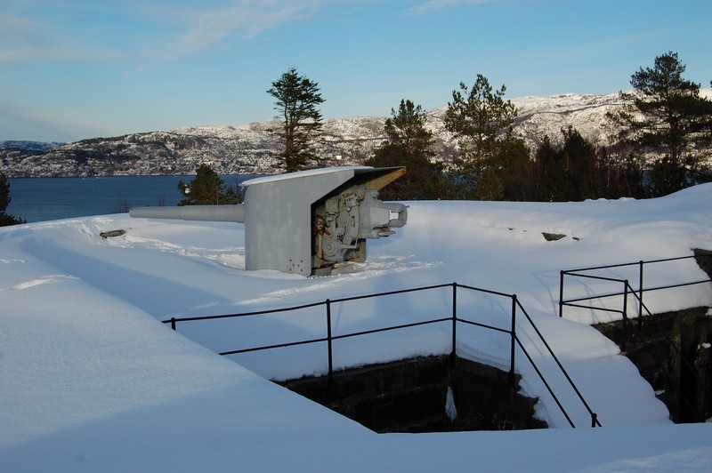 DSC_0404.jpg