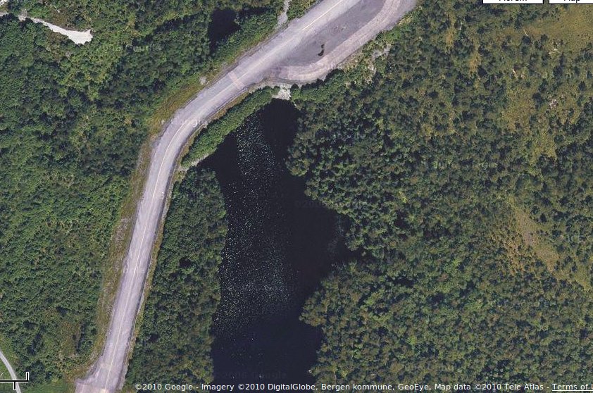 Google maps