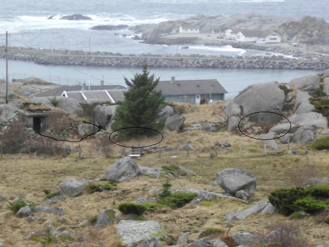 CIMG0578 b.jpg