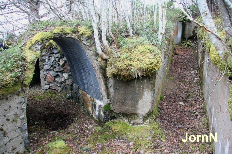 Ringvern sör-öst, löpegraver.jpg