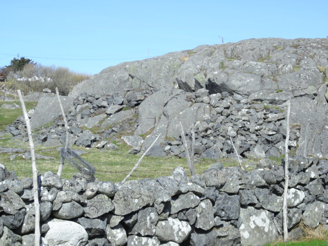 CIMG0646.JPG