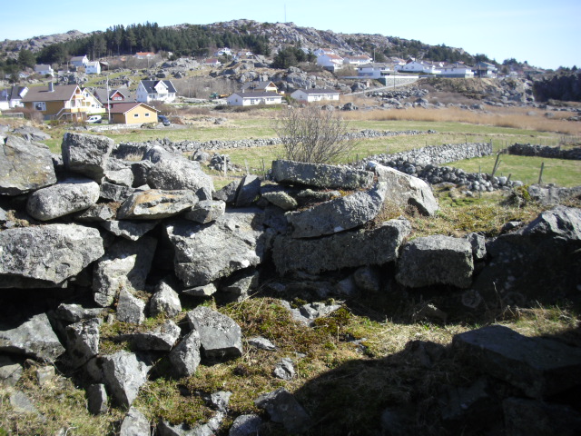 CIMG0653.JPG