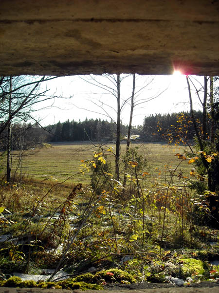 DSCN0450_thumb.jpg