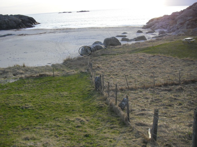 CIMG0696 6.jpg