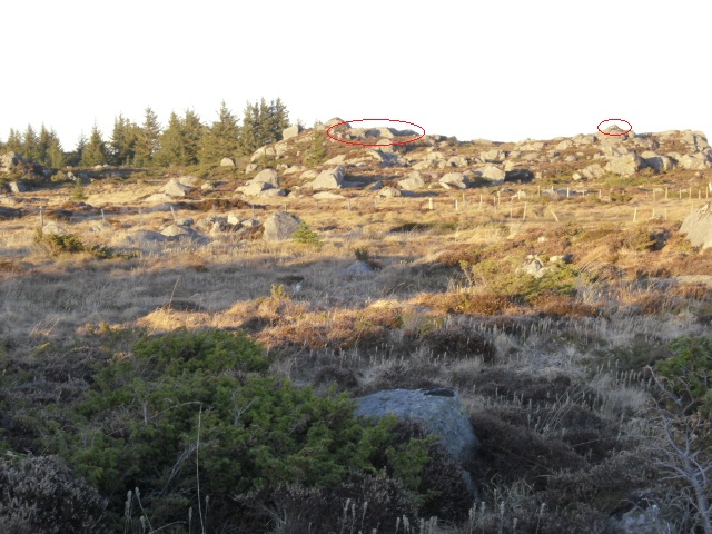 CIMG0837 7.jpg