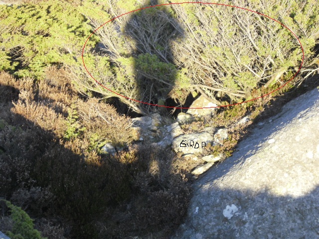 CIMG0832 2.jpg