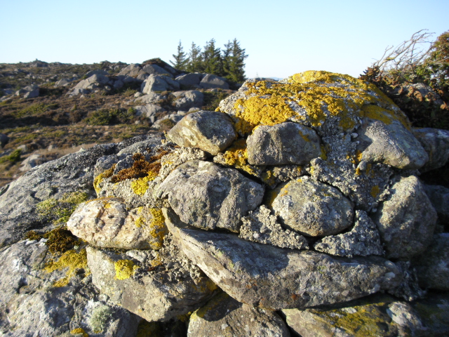 CIMG0834.JPG