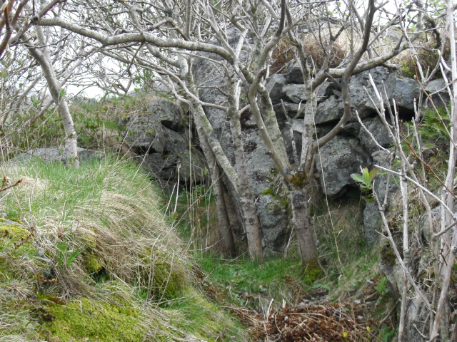 CIMG0847.JPG